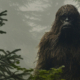 Sasquatch Sighting Squashed? - KGRA Digital Broadcasting