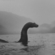 Hey NASA, Nessie on Line One! The Loch Ness Centre in the Scottish highlands